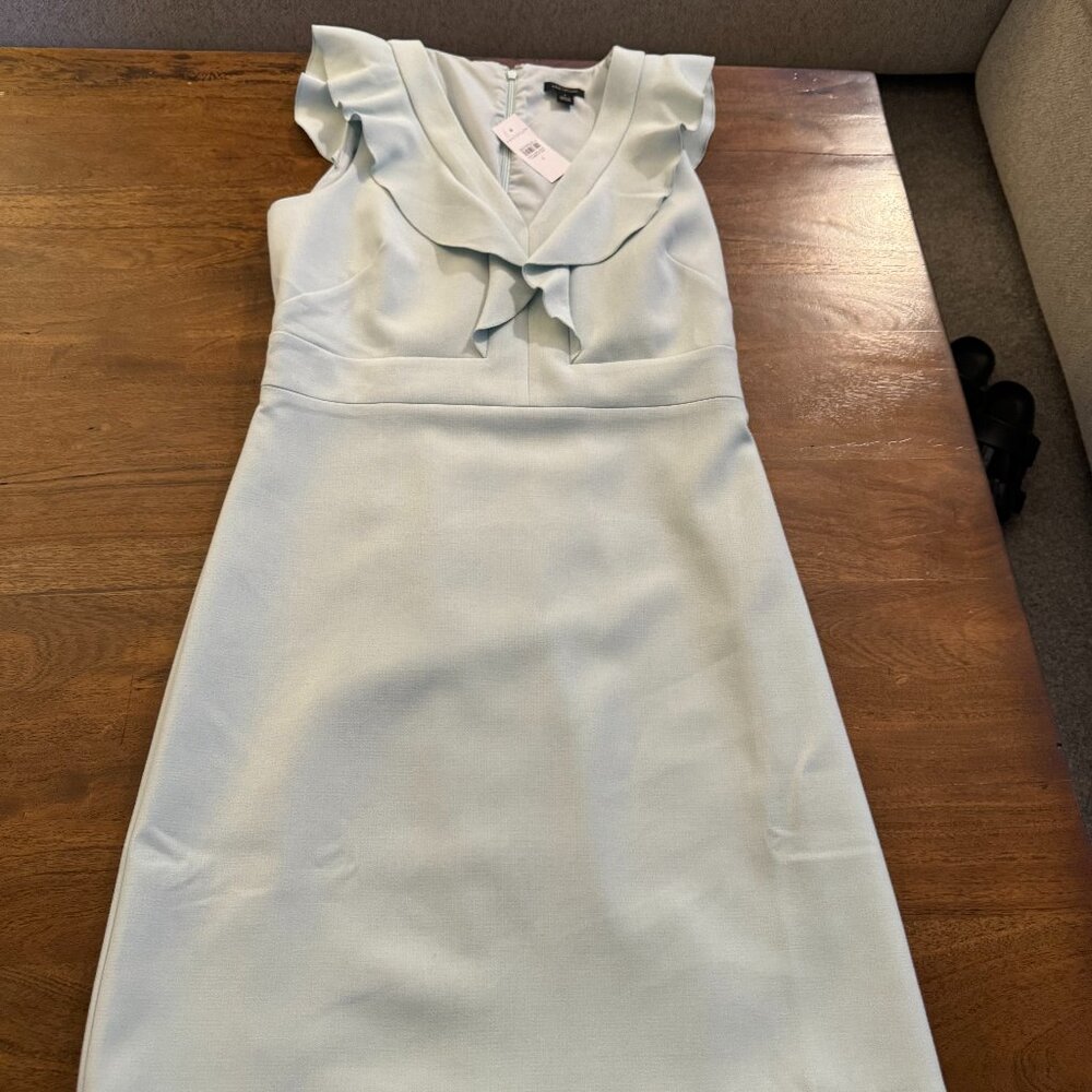Women Light Sage Ann Taylor dress